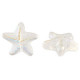 Glass bead 14mm Starfish - Crystal ab